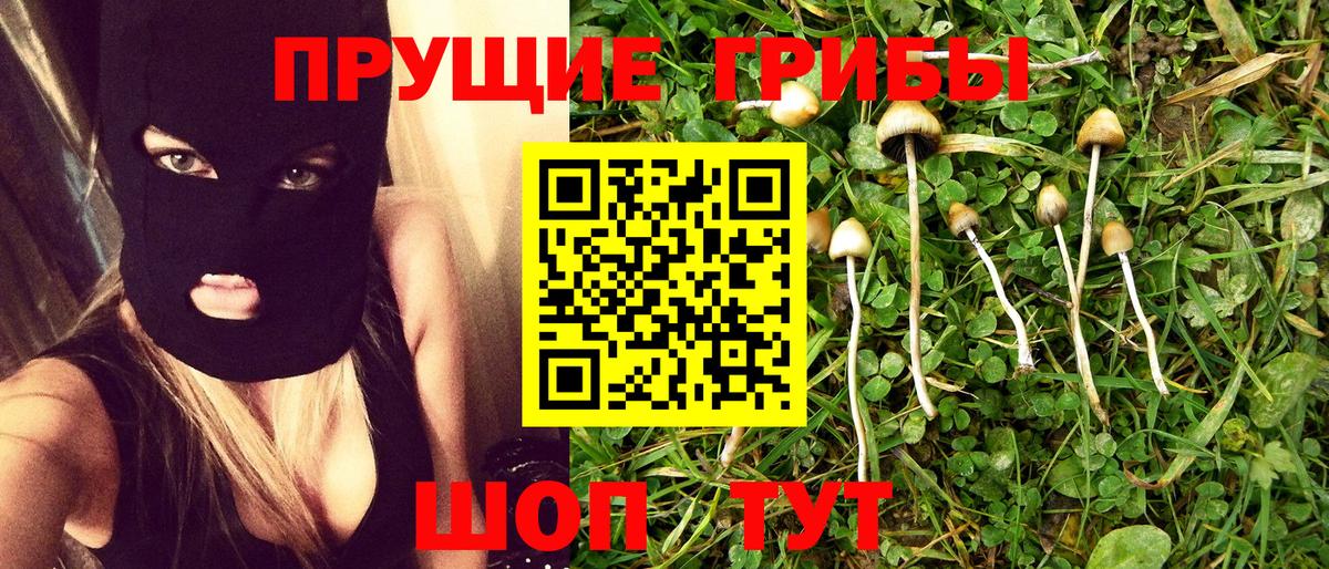 Чистополь  Галлюциногенные грибы мухоморы  Вход с VPN 