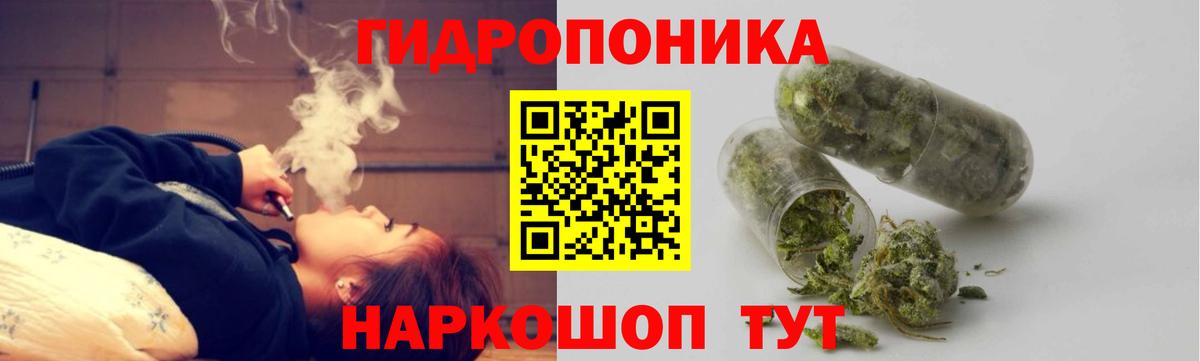 Шишки марихуана ГИДРОПОН  Вход с VPN  Канабис сатива  Чистополь  Бошки марихуана MAZAR  Каннабис White Widow 